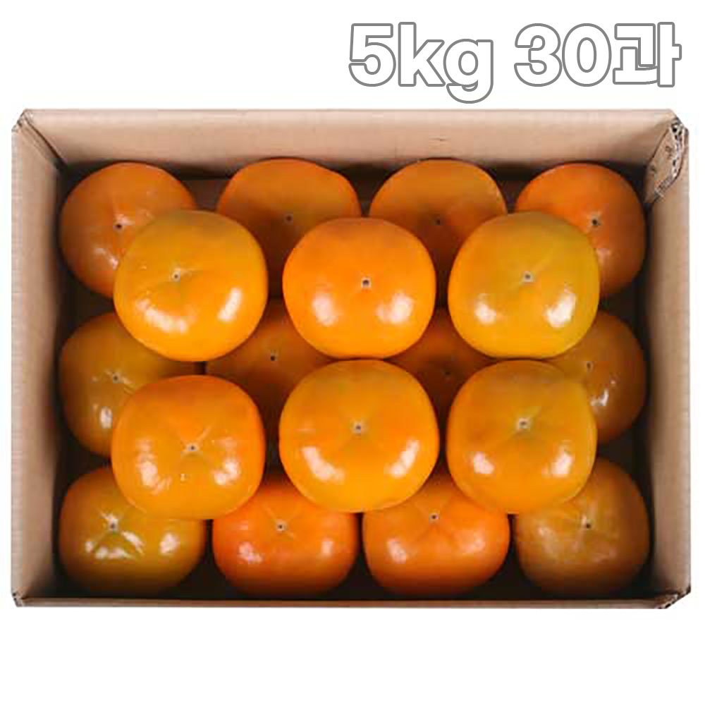 [GAP인증] 25년 진영 햇단감 5kg 30과