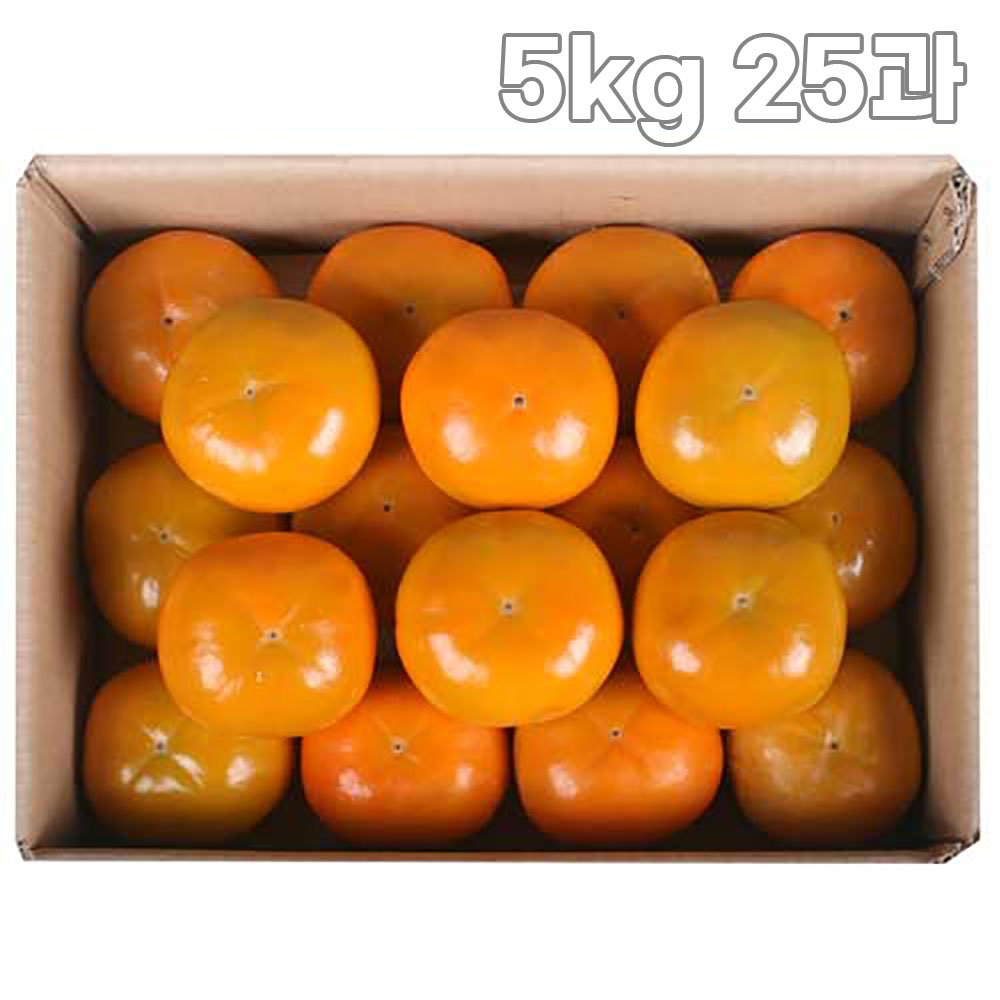 [GAP인증] 25년 진영 햇단감 5kg 25과