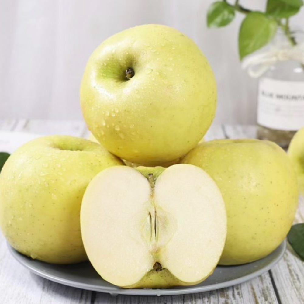 25년산 시나노골드사과 2kg (정품 10~12개 개당 170~200g)