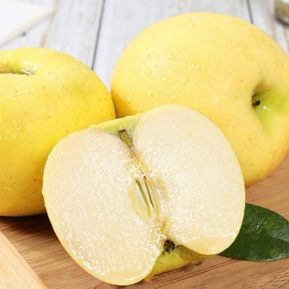 25년산 시나노골드사과 3kg (정품 15~18개 개당 170~200g)