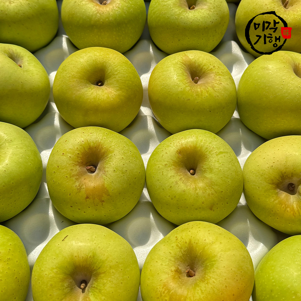 미각기행 입안가득 넘치는 과즙 고당도 시나노골드 가정용 중대과 2kg(6-8과)