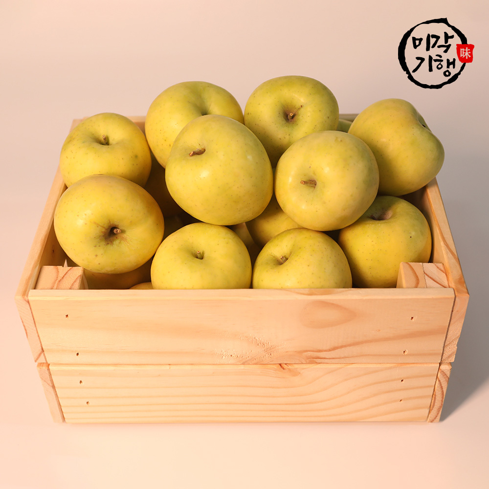 미각기행 입안가득 넘치는 과즙 고당도 시나노골드 가정용 중대과 3kg(9-12과)