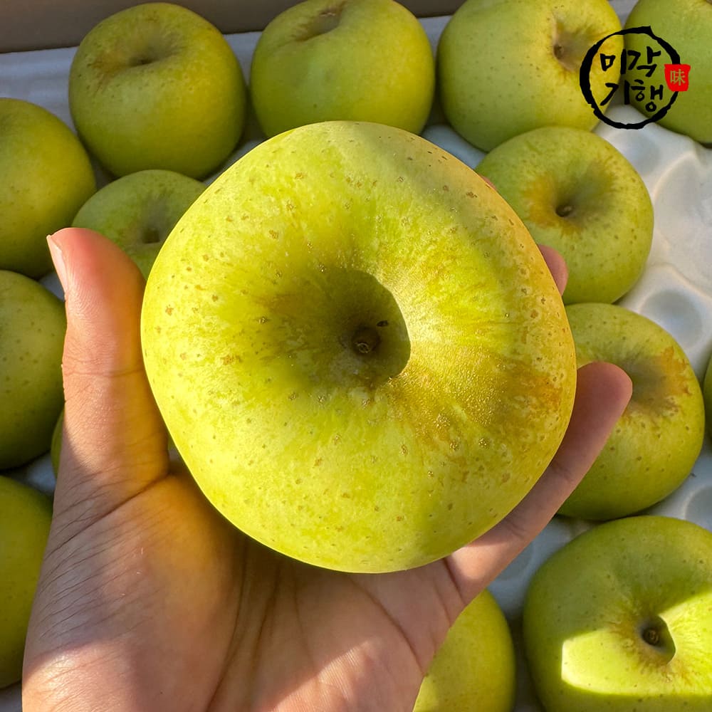 미각기행 입안가득 넘치는 과즙 고당도 시나노골드 특품 중소과 5kg(23-27과)