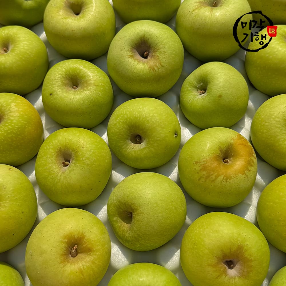미각기행 입안가득 넘치는 과즙 고당도 시나노골드 특품 중과 3kg(10-13과)