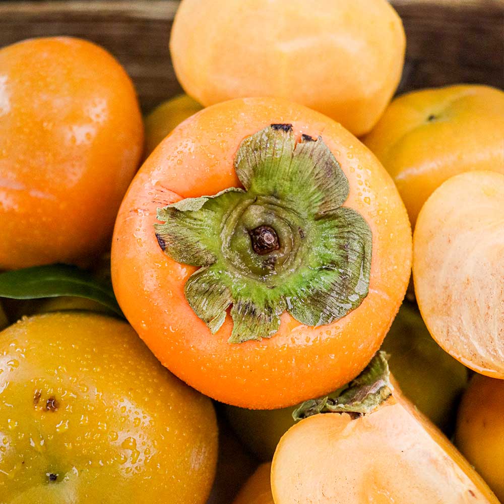 25년 옥황 꿀부유단감 가정용 중대과 5kg (15-25과 내외)