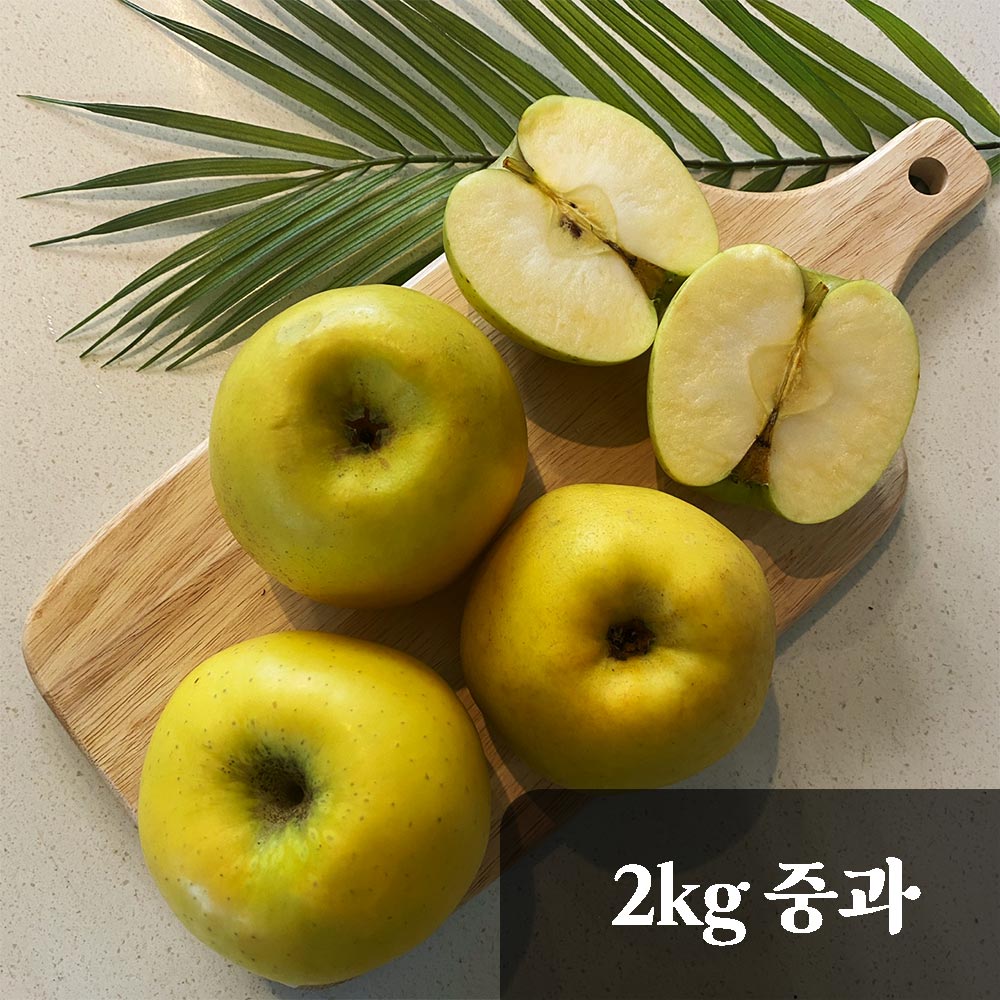 산지직송 고당도 달콤아삭 시나노골드 사과 2kg 중과 8-9과