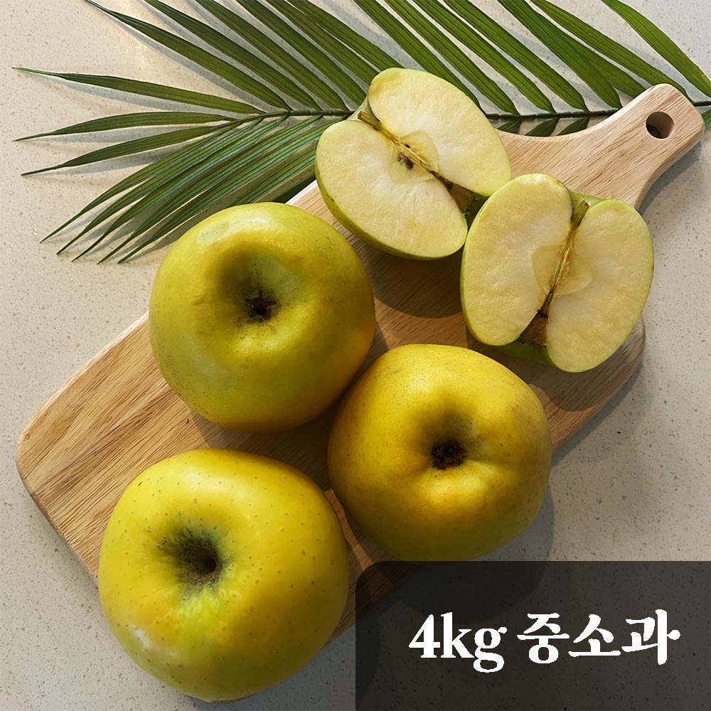 산지직송 고당도 달콤아삭 시나노골드 사과 4kg 중소과 21-25과