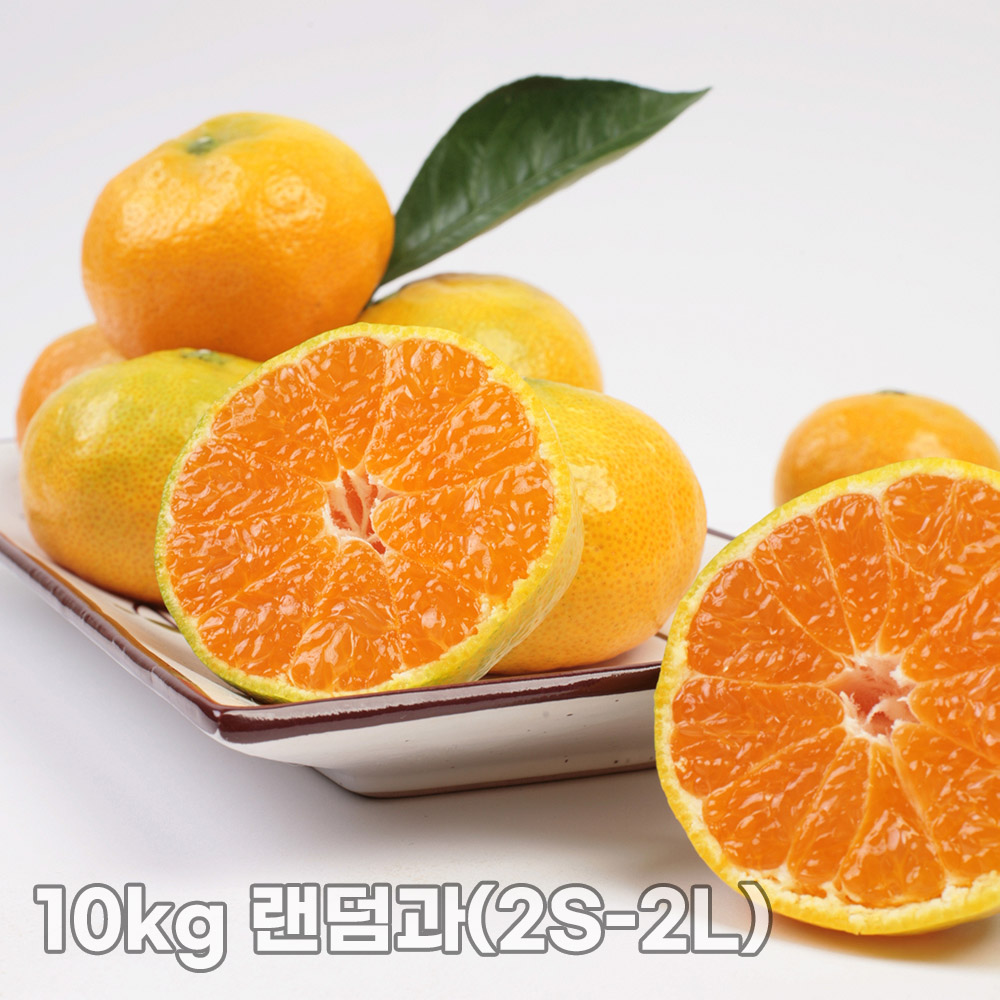 [햇땅] 제주직송 노지 감귤 10kg 랜덤과(2S-2L)