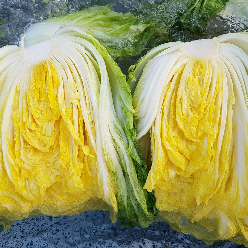 충북 괴산 천일염 절임배추 20kg 10포기 내외