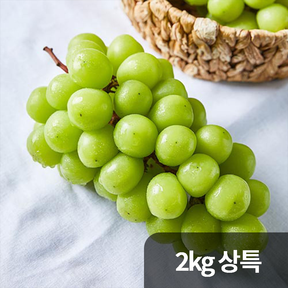 달옥농산 노지 샤인머스켓 2kg 상특 (4송이)