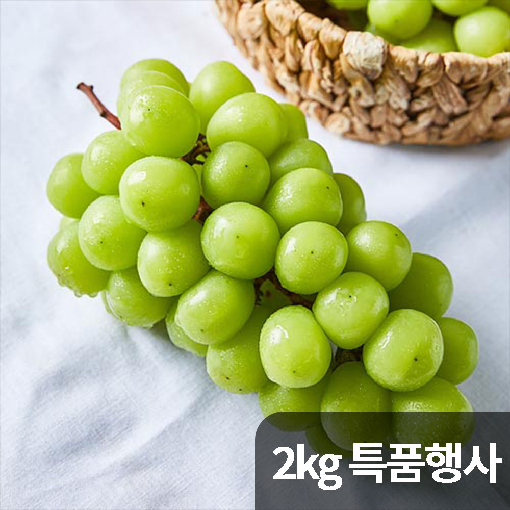 달옥농산 노지 샤인머스켓 2kg 특품행사 (3~4송이)