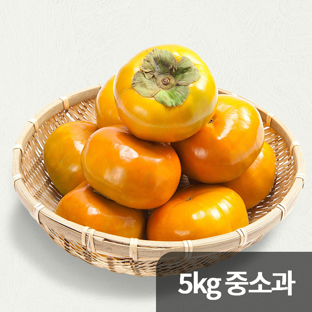 달옥농산 단감 5kg 중소과 (36~46과)