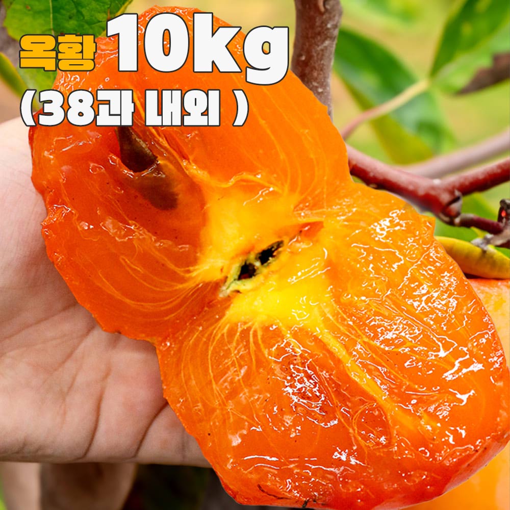 옥황 꿀 대봉감 10kg (38과 내외)
