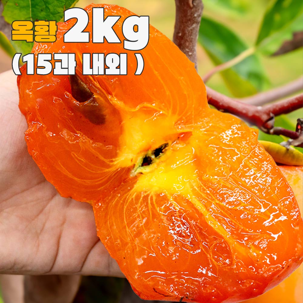 옥황 꿀대봉감 2kg (15과 내외)