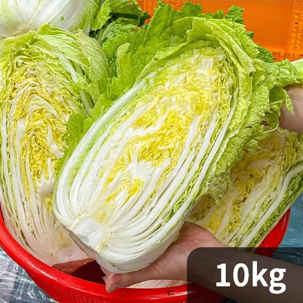 [청년농가] 국내산 고랭지 절임배추 10kg (약 3-5포기)