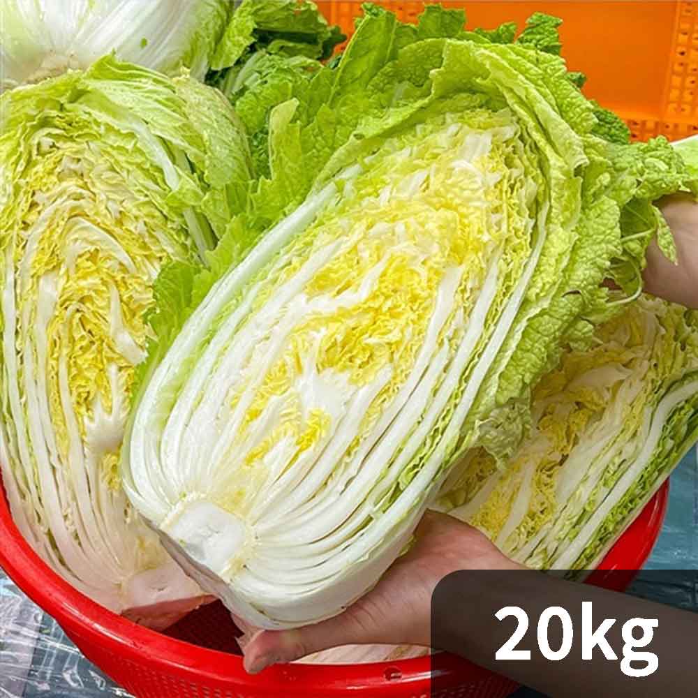 [청년농가] 국내산 고랭지 절임배추 20kg (약 7-10포기)