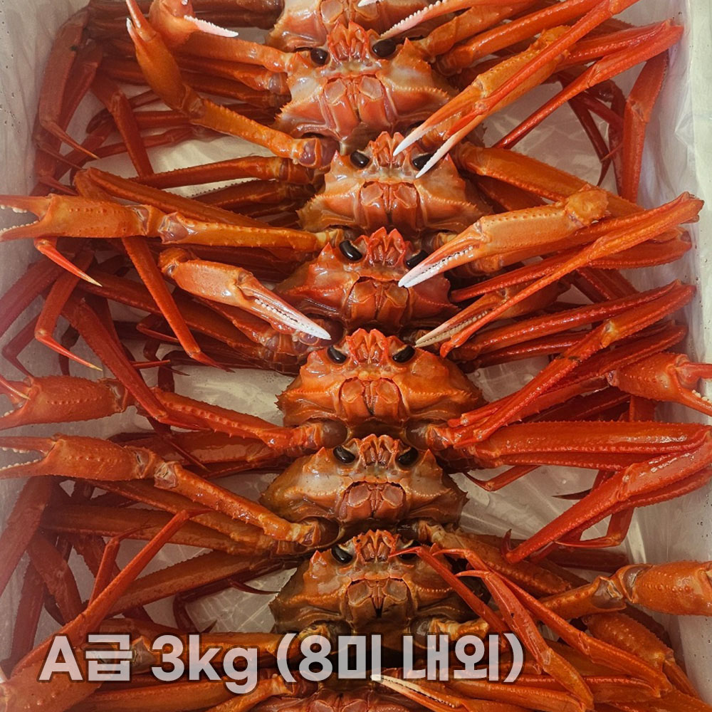 국내산 제철 수율 좋은 박달 홍게 A급 3kg (8미 내외)