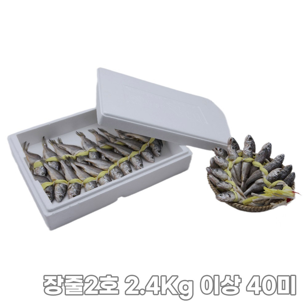 [집밥먹자] 밥도둑 국내산 영광 법성포 가정용 굴비 장줄2호 2.4Kg 이상 40미