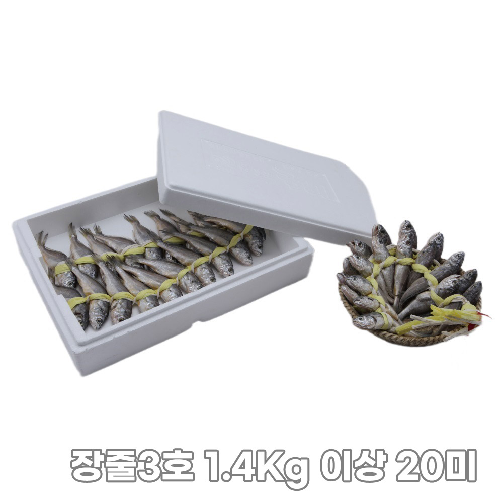 [집밥먹자] 밥도둑 국내산 영광 법성포 가정용 굴비 장줄3호 1.4Kg 이상 20미