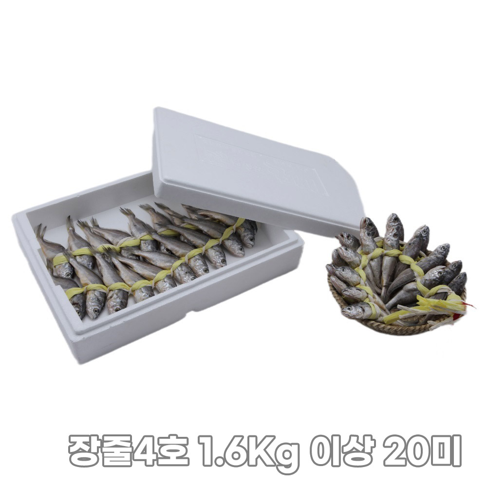 [집밥먹자] 밥도둑 국내산 영광 법성포 가정용 굴비 장줄4호 1.6Kg 이상 20미