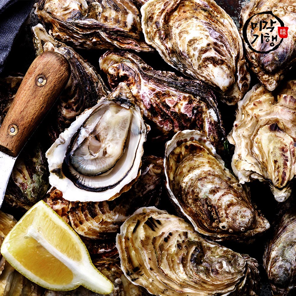미각기행 싱싱하고 신선한 생굴 1kg(빙장포장)