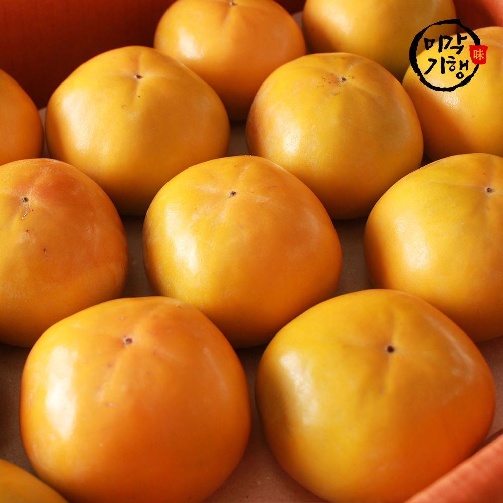 미각기행 달콤아삭 고당도 단감 중과 5kg (26-30과)