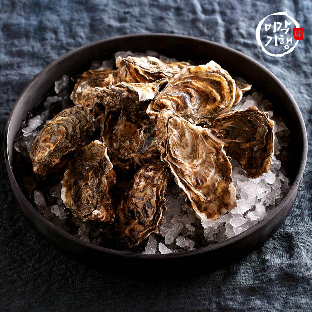미각기행 싱싱하고 신선한 생굴 2kg(빙장포장)