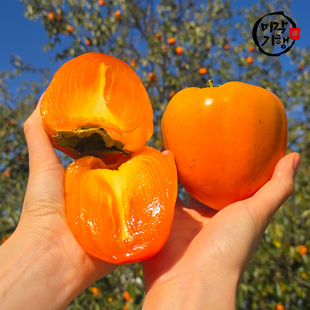 미각기행 제철맞은 햇 대봉감 중소과 10kg (50과 내외)