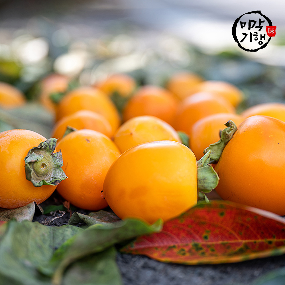 미각기행 제철맞은 햇 대봉감 대과 2kg (6과 내외)