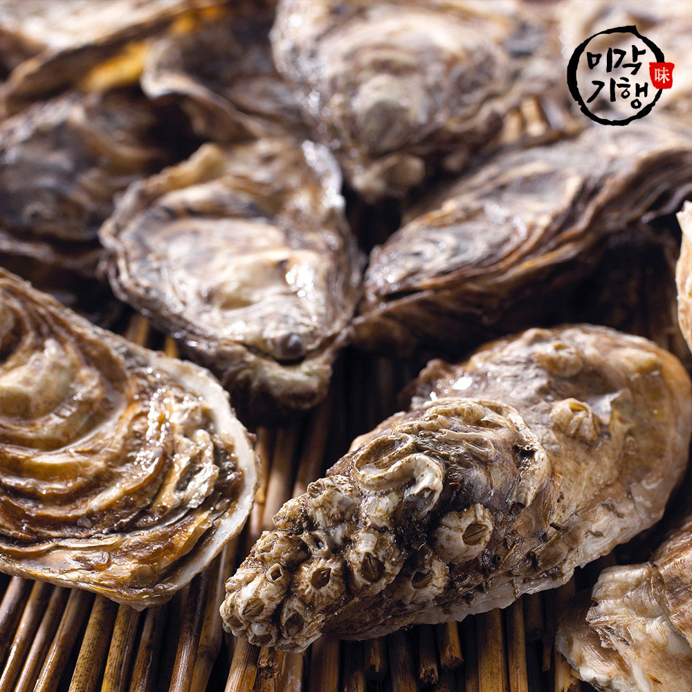 미각기행 싱싱하고 신선한 생굴 4kg(빙장포장)