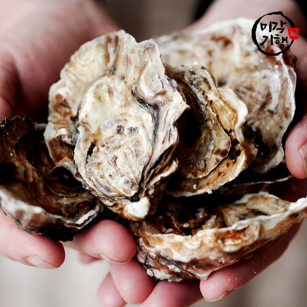 미각기행 싱싱하고 신선한 생굴 5kg(빙장포장)