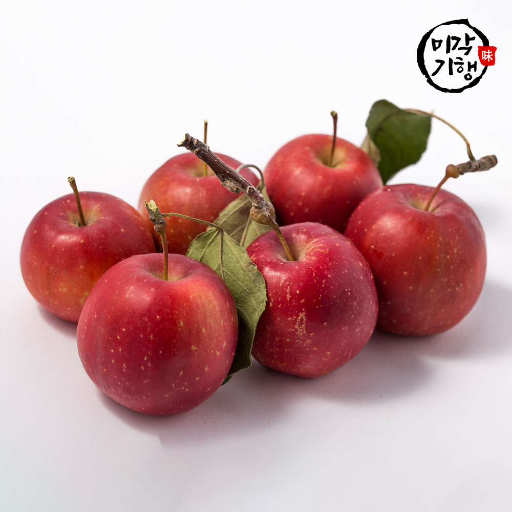 미각기행 강원도 명품 가정용 루비에스 사과 2kg (34과 내외)