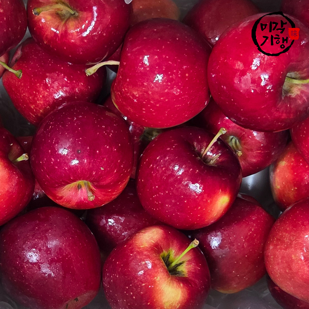 미각기행 강원도 명품 가정용 루비에스 사과 4kg (68과 내외)