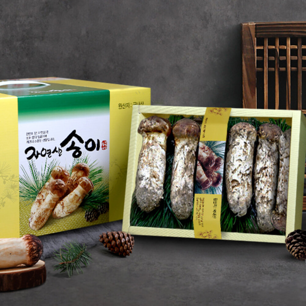 [속림山속] 강원도 자연산 송이버섯 500g/특상품/6~9뿌리