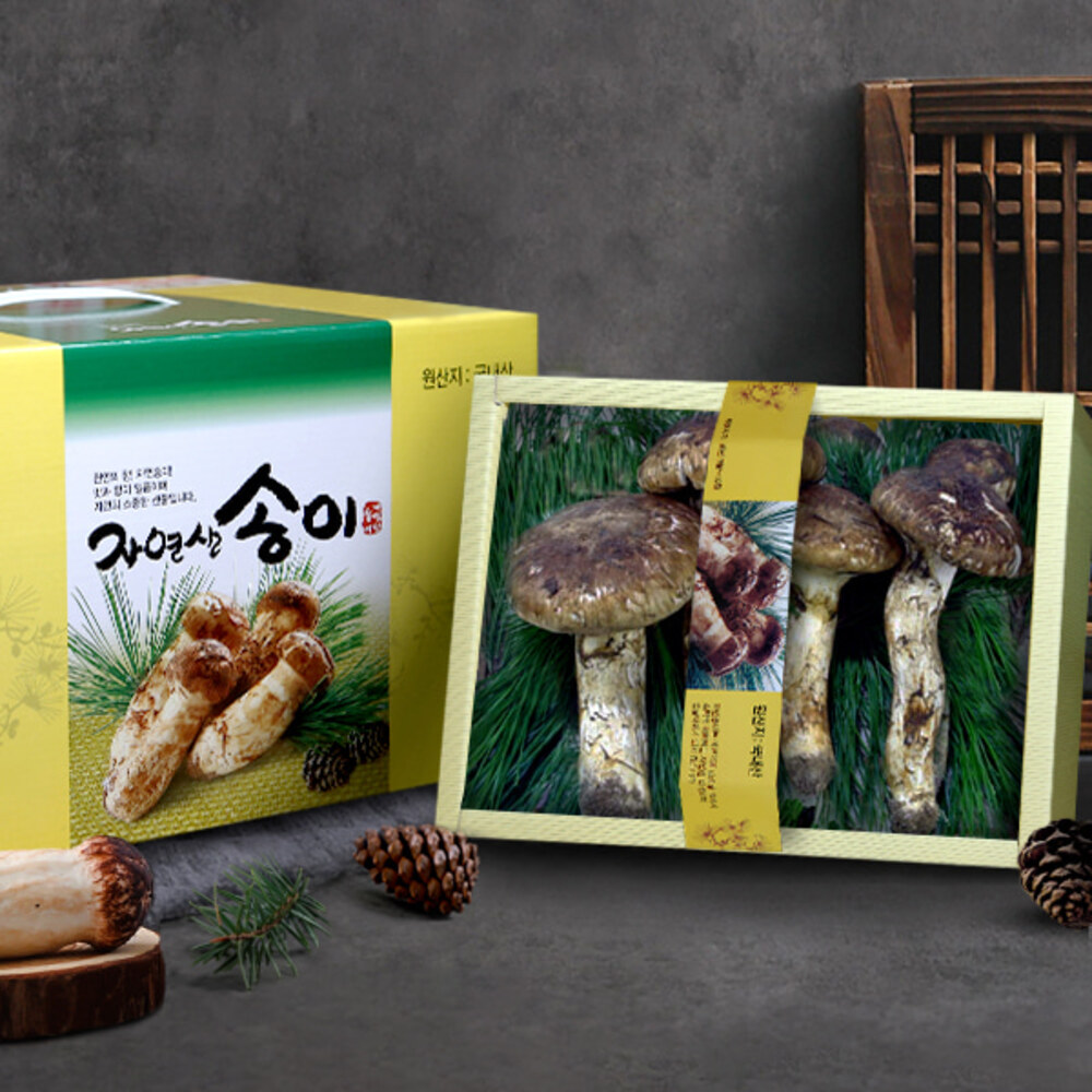 [송림山속] 강원도 자연산 송이버섯 500g/개산품/6~14뿌리