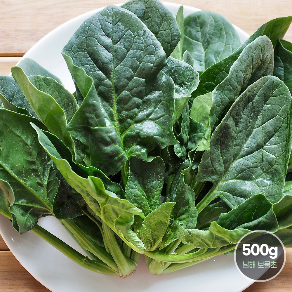 [청년농가] 남해 보물초 시금치 500g