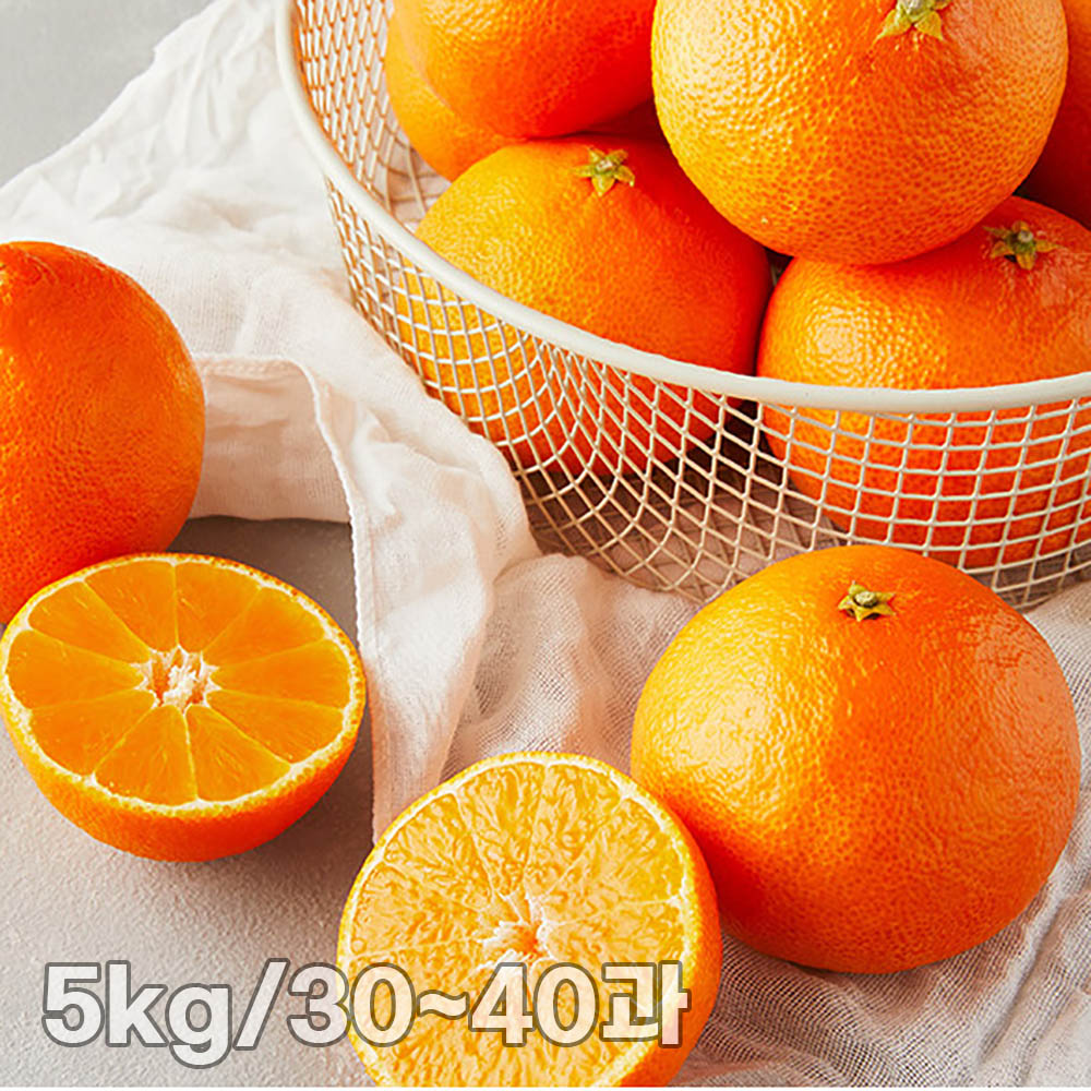 [단이와풍이] 당일 수확한 정읍 황금향 5kg/30~40과