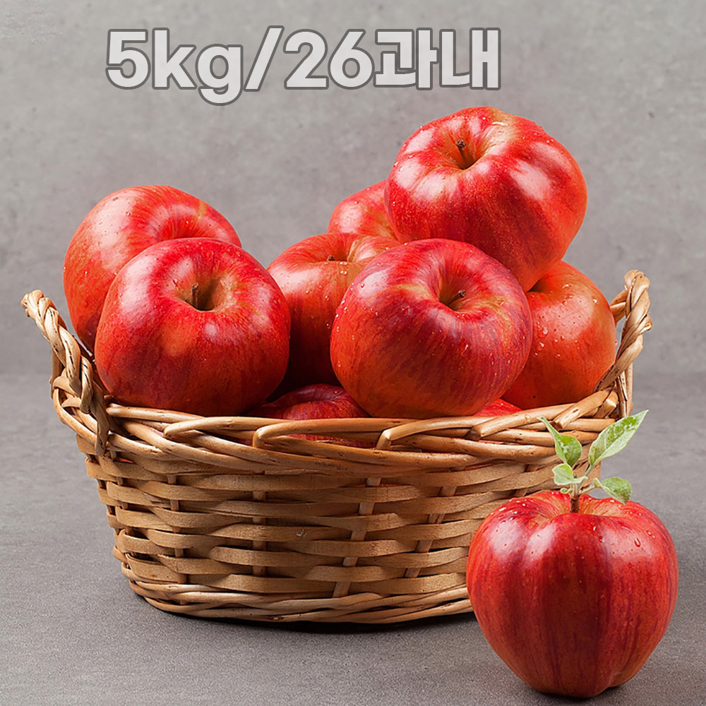 [산소카페] 산지직송 청송 꿀사과(정품) 5kg/26과내