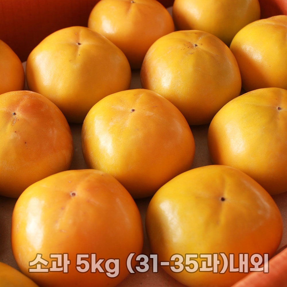 진영 고당도 부유단감 고당도 단감 소과 5kg (31-35과)내외