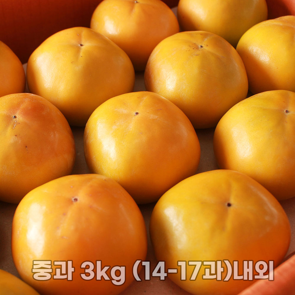 진영 고당도 부유단감 고당도 단감 중과 3kg (14-17과)내외