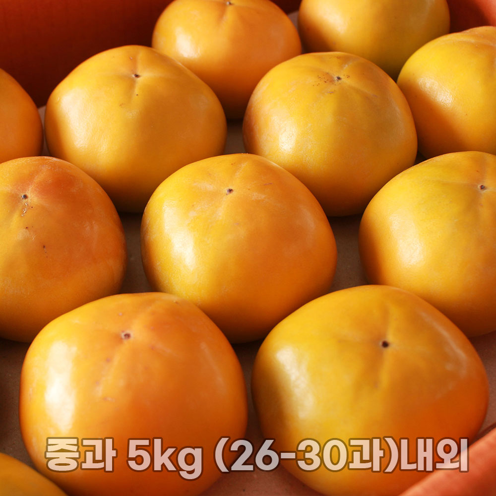진영 고당도 부유단감 고당도 단감 중과 5kg (26-30과)내외