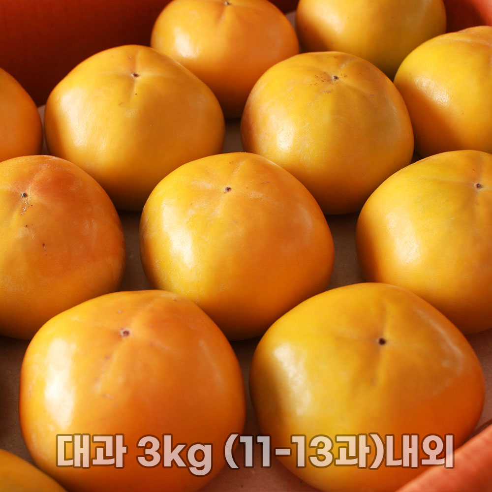 진영 고당도 부유단감 고당도 단감 대과 3kg (11-13과)내외