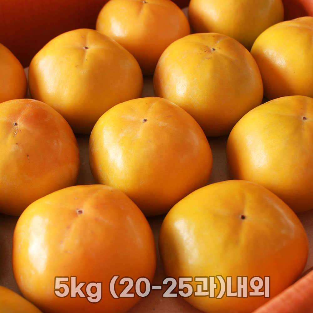 진영 고당도 부유단감 고당도 단감 대과 5kg (20-25과)내외