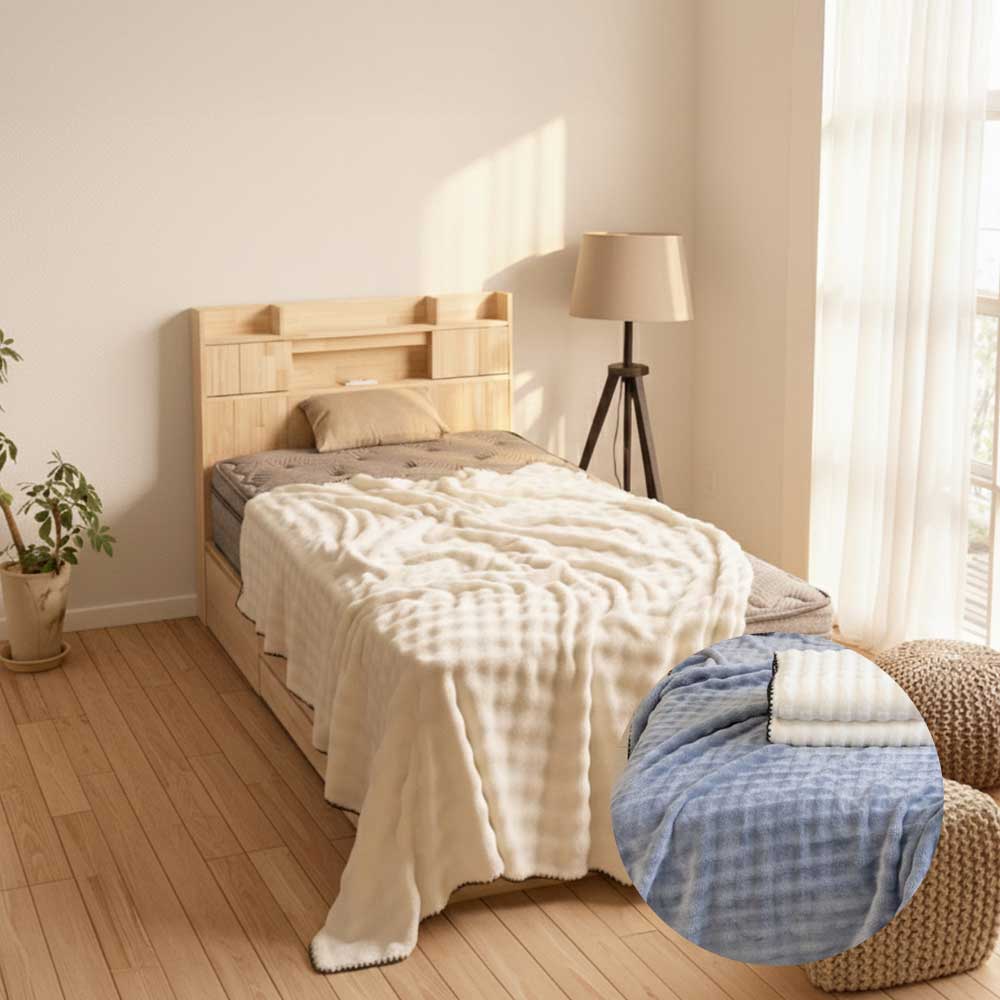 [Guy Laroche] 5mm 밍크 극세사 담요