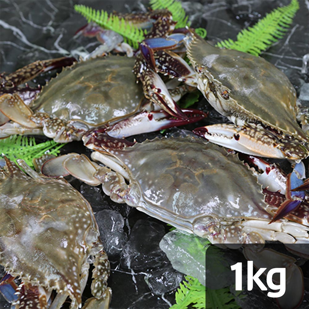 연평도 활숫꽃게 1kg (kg당 3~4미)