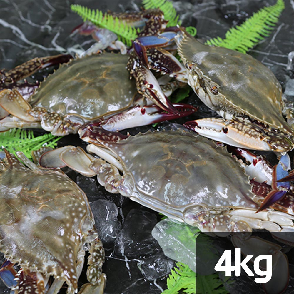연평도 활숫꽃게 4kg (kg당 3~4미)