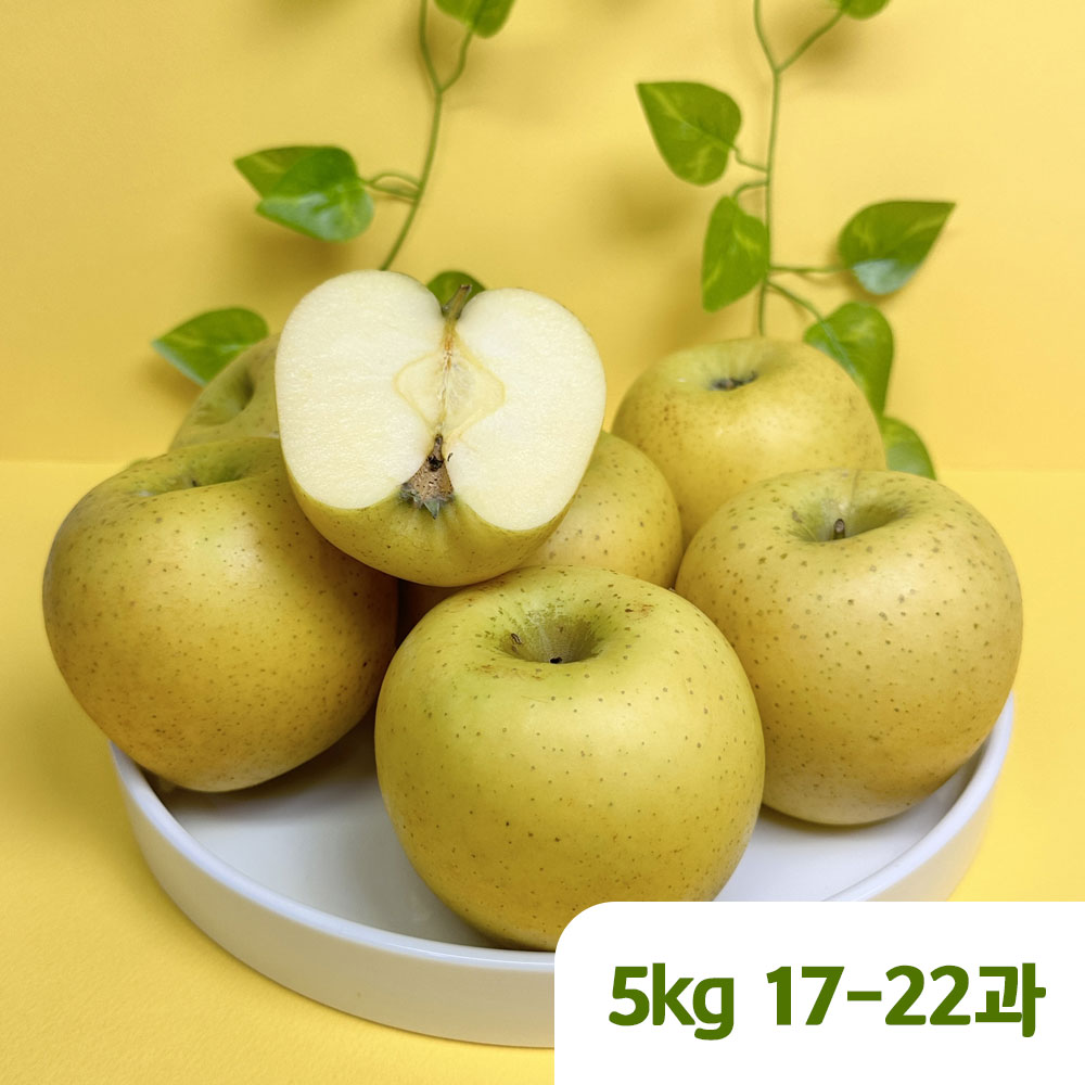 [햇땅] 시나노골드 정품 5kg 17-22과