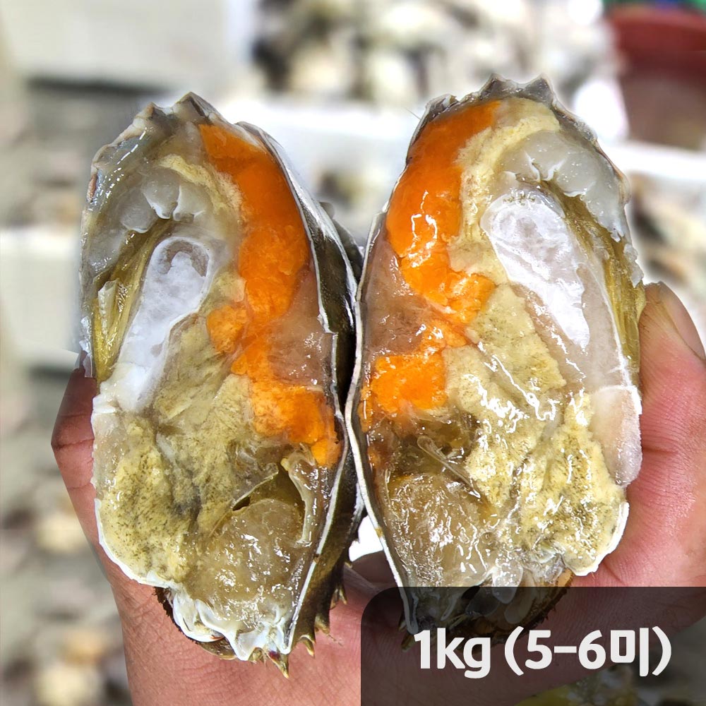 [햇땅] 연평도 활꽃게 알가득 암꽃게 1kg(5-6 미)