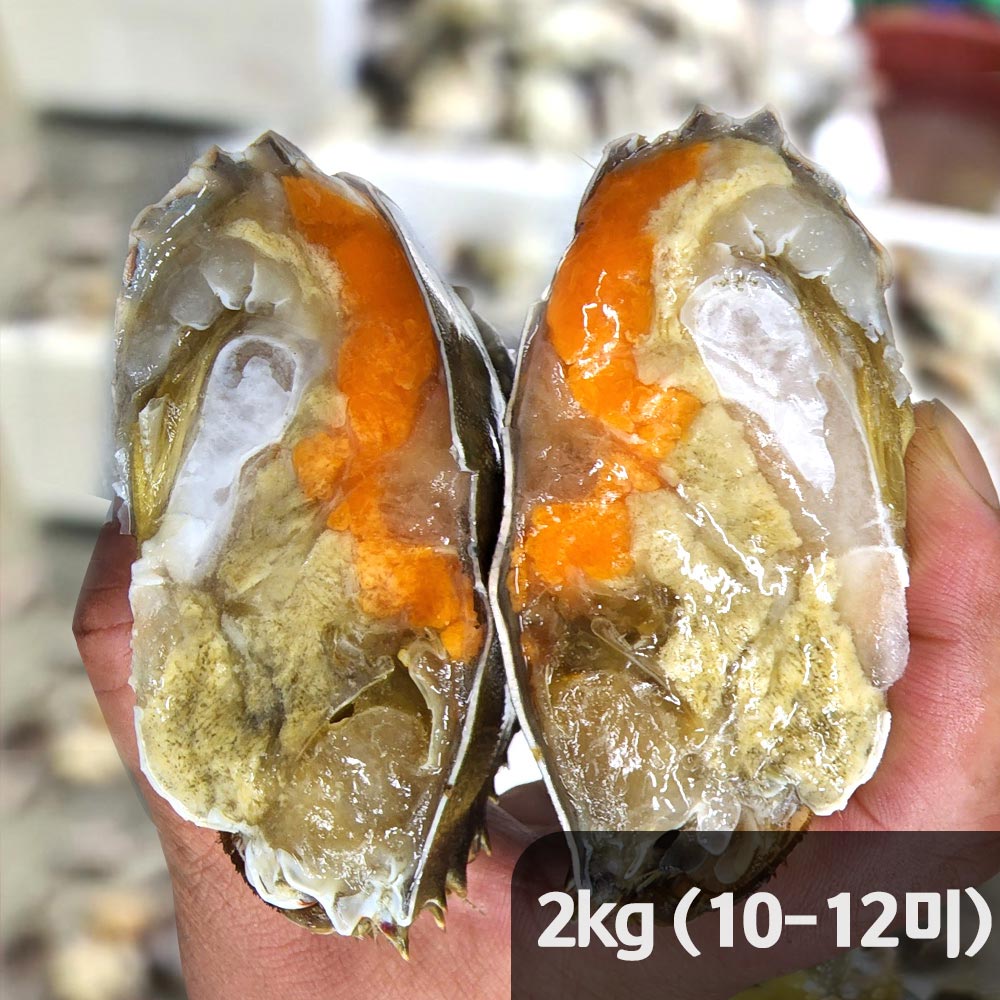 [햇땅] 연평도 활꽃게 알가득 암꽃게 2kg(10-12 미)