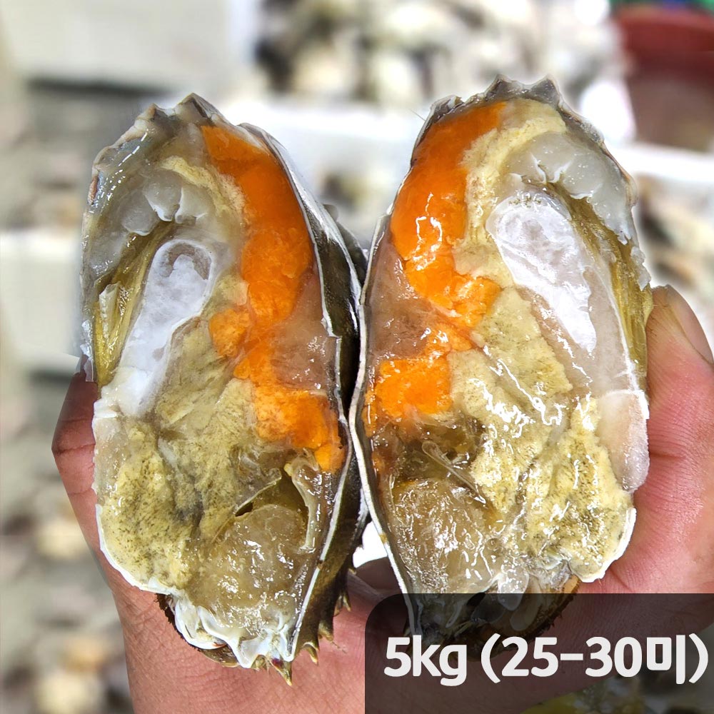 [햇땅] 연평도 활꽃게 알가득 암꽃게 5kg(25-30 미)